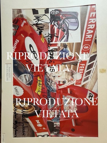 Ferrrari enzo portfolio - enzo, ,